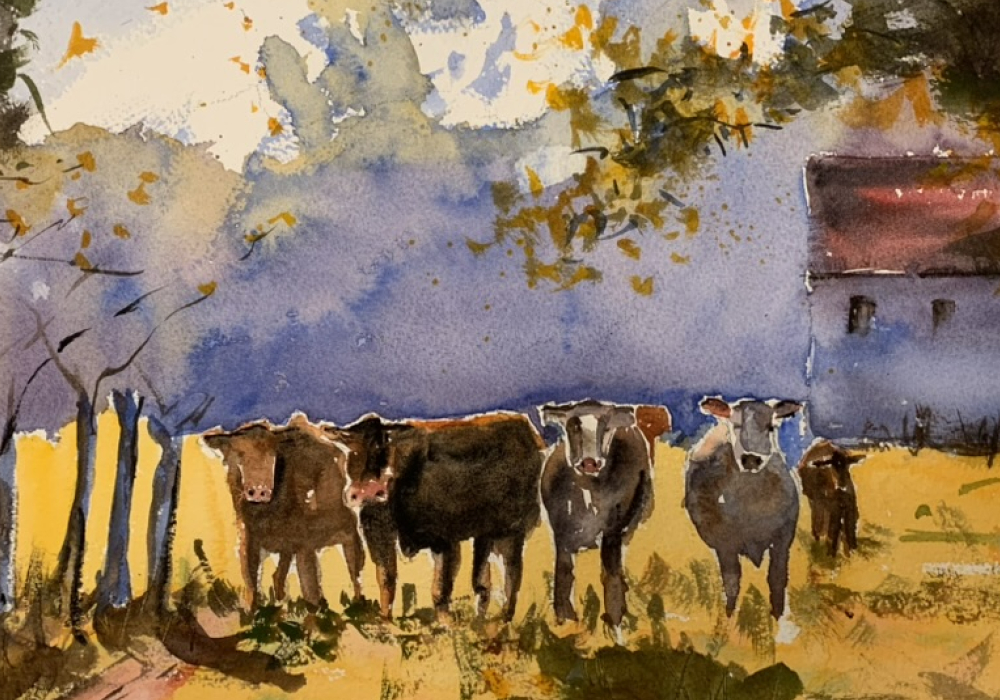 Allgäu
