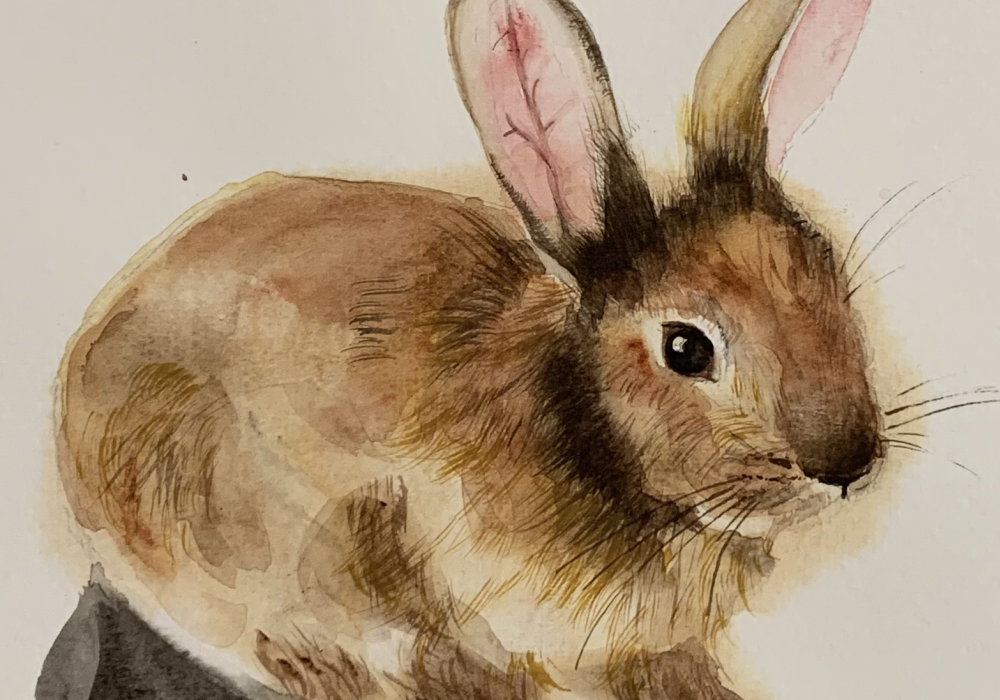 Hase3