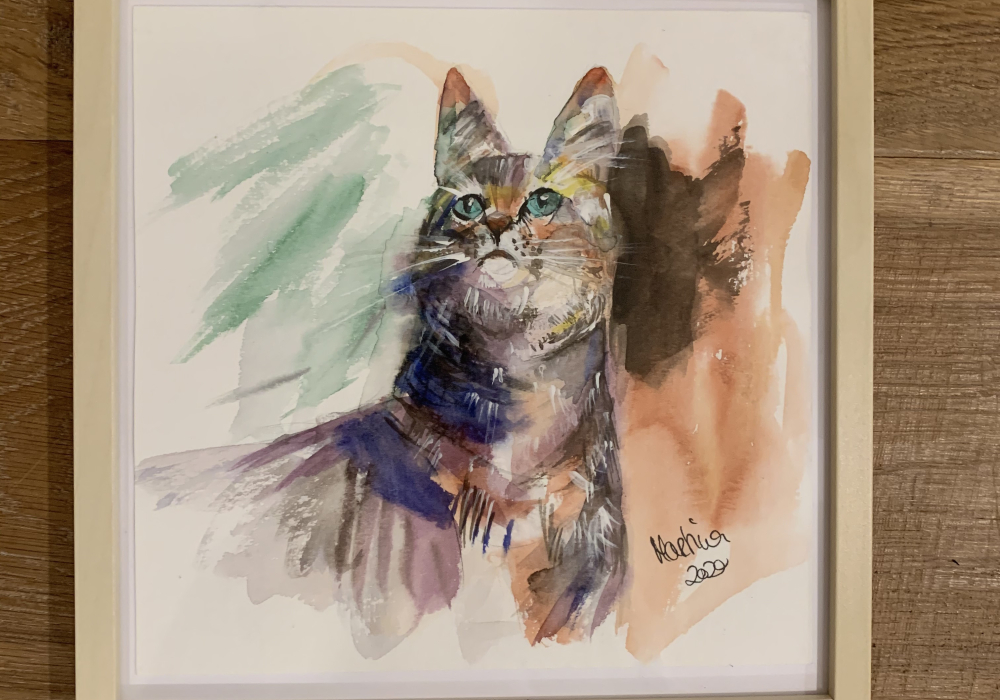 Katze