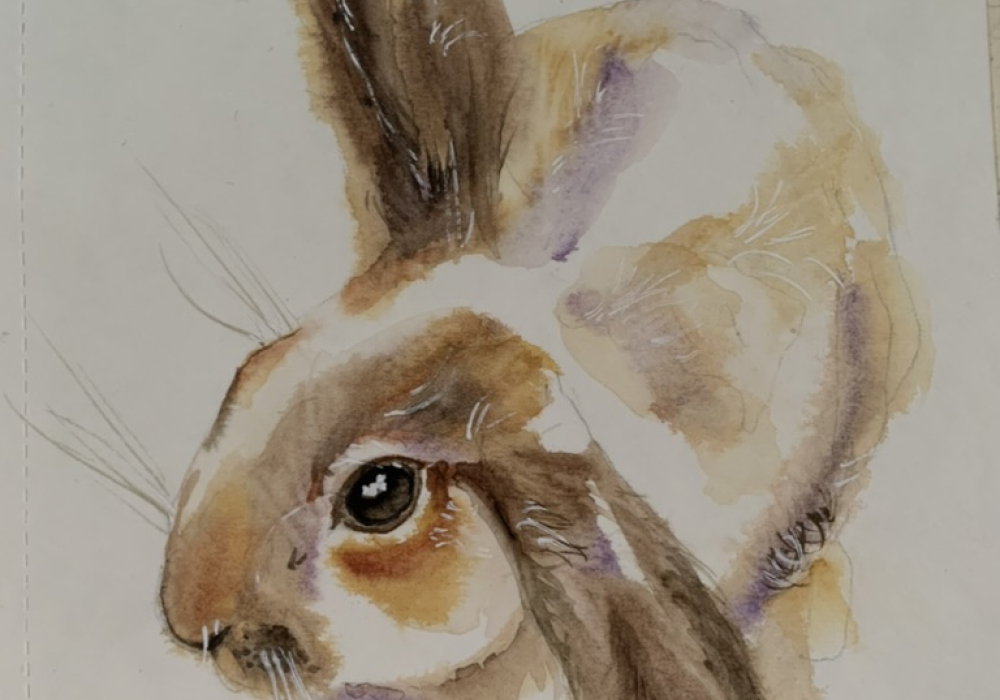 kleiner Hase